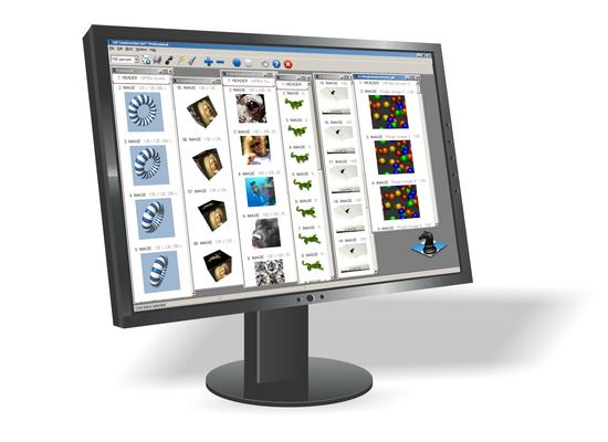 GIF Construction Set Professional